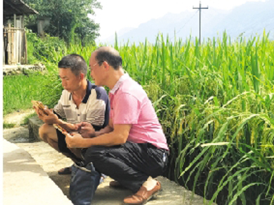 1568944224109038940.jpg 4010-A2-7.jpg