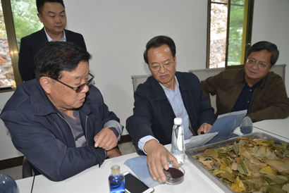 1571282290016090553.jpg 蒙启良(右二)一行在上司镇.jpg