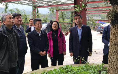 1571712618632083179.jpg 4023-A1-2.jpg