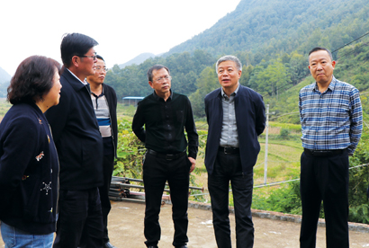 1571879762137047959.jpg 4025-A1-1.jpg