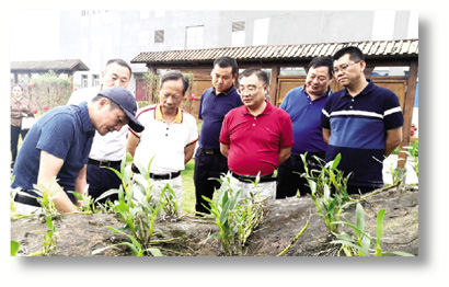 1578022211731012156.jpg 4066-A4-4.jpg