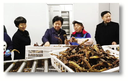 1578022241217081687.jpg 4066-A4-8.jpg