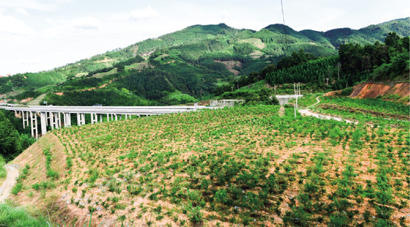 1601341267305095665.jpg 4210-1-1.jpg