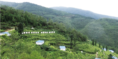 1606871846791051091.jpg 4242-4-1.jpg