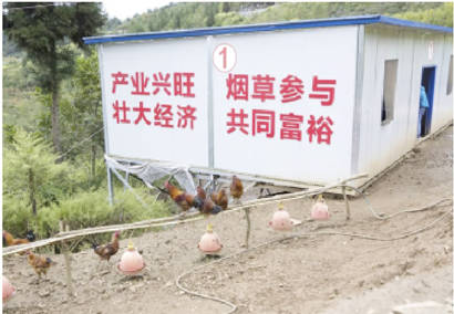 1606871865893064288.jpg 4242-4-3.jpg