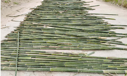 1614911668952004205.jpg 4293-4-2.jpg