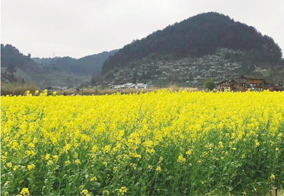 1615512109728036978.jpg 4300-4-1.jpg