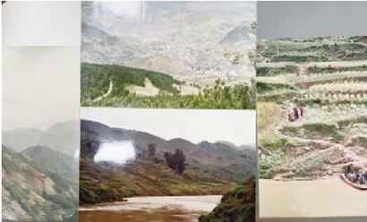 1617068919277087505.jpg 4307-3-2.jpg