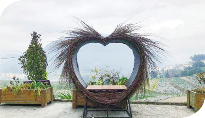 1618286435809012732.jpg 4313-4-3.jpg