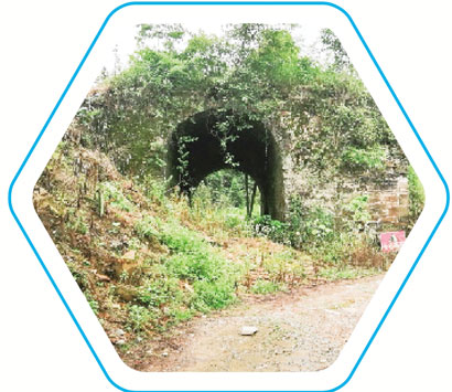 1625107926311037307.jpg 4355-4-5.jpg