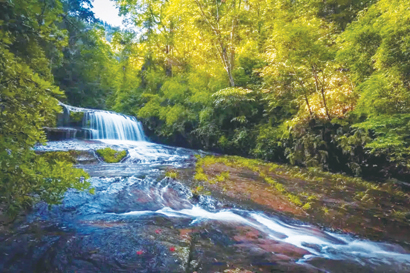 1653356093487025000.jpg 4526-4-1.jpg