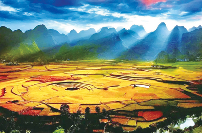 1653356106745099045.jpg 4526-4-2.jpg