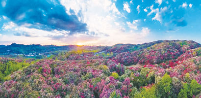 1653356122362047411.jpg 4526-4-3.jpg