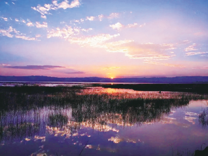 1653356133334053478.jpg 4526-4-4.jpg