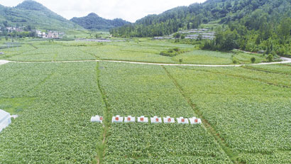 4555-4-5以虫治虫，实现生态.jpg