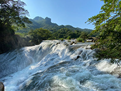 1718845018102036457.jpg 4933-4-2.jpg