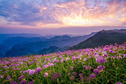 1718845038553081280.jpg 4933-4-3-毕节韭菜坪.jpg