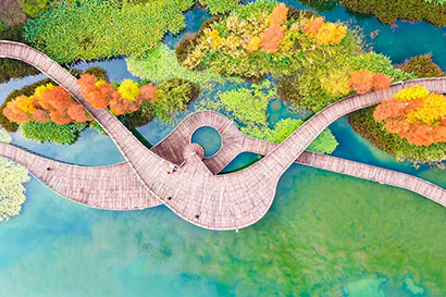 1766540245876060616.jpg 1.jpg