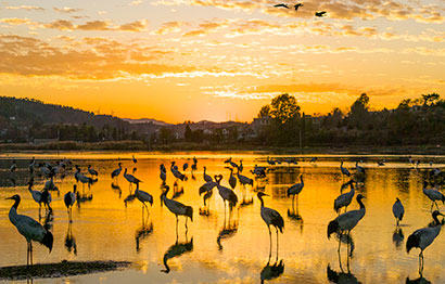 1766540482374092963.jpg 2.jpg