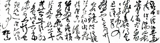 1767144068235057869.jpg 5242-4-3.jpg