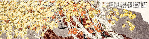 1767144104436026065.jpg 5242-4-5.jpg