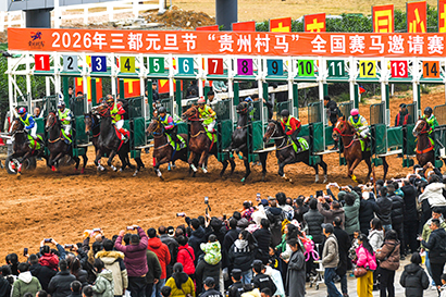 1768353758298069270.jpg D662BB60BF016F958761A1657647E94B.jpg