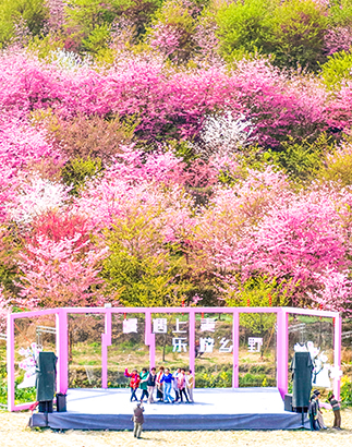 1772850213620009631.jpg 随着气温升高,贵阳市观山湖区百花湖镇上麦城村的千亩樱花进入盛花期,吸引众多市民游客前来踏春赏景。图为3月1日,游客在上麦城村游玩拍照。.jpg