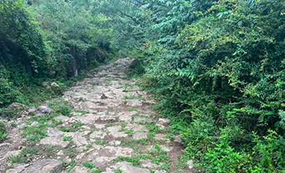 1774400227250047361.jpg 部分保存完好的打铁关古驿道.jpg