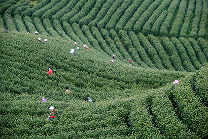 1774400390968016487.jpg 5291-4-1.jpg