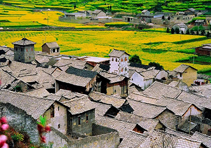 1774487616857078584.jpg 5292-4-2.jpg